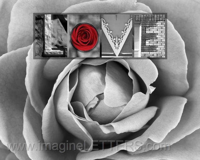 Wall_Art_Alphabet_Photography_Art_ 1365.jpg
